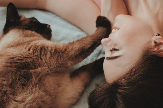 Choosing Love Adopting vs. Buying a Pet
