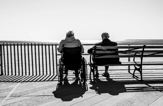 Embracing Aging Understanding Your Pet's Journey