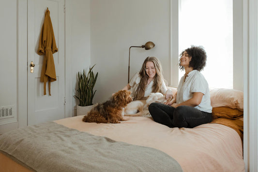 The Joy of Fostering Pets Unleashing Love and Compassion