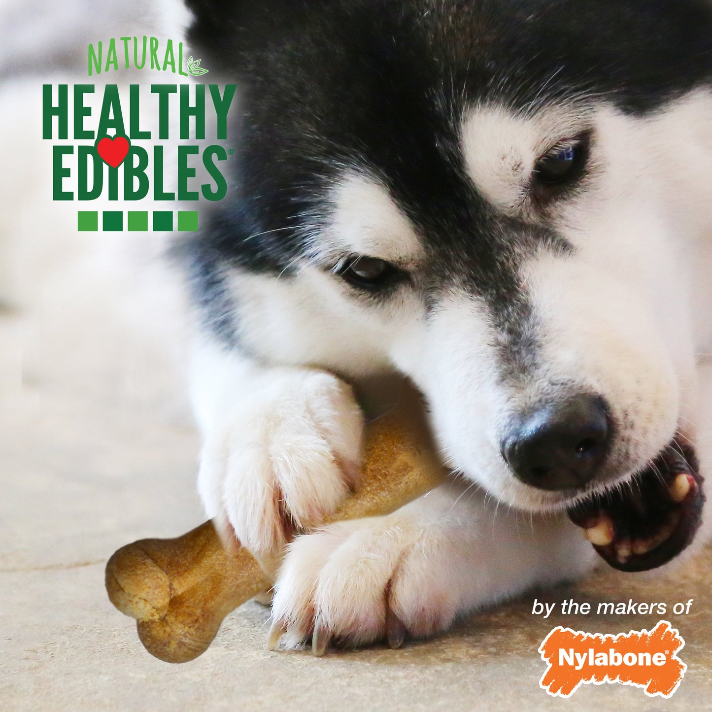 Nylabone Healthy Edibles AllNatural Long Lasting Roast Beef Dog Chew Treats 2 count, Wolf Up To 35 lb