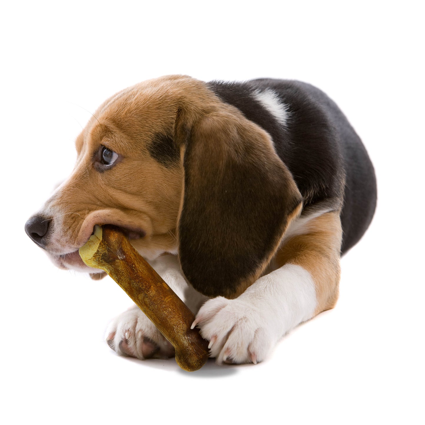 Nylabone Healthy Edibles AllNatural Long Lasting Roast Beef Dog Chew Treats 2 count, Wolf Up To 35 lb