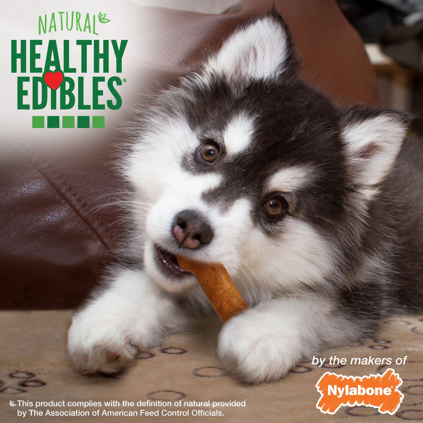 Nylabone Healthy Edibles Puppy Turkey Sweet Potato Dog Chew Treats Turkey Sweet Potato, SMall/Regular Up To 25 Ibs. 3 ct