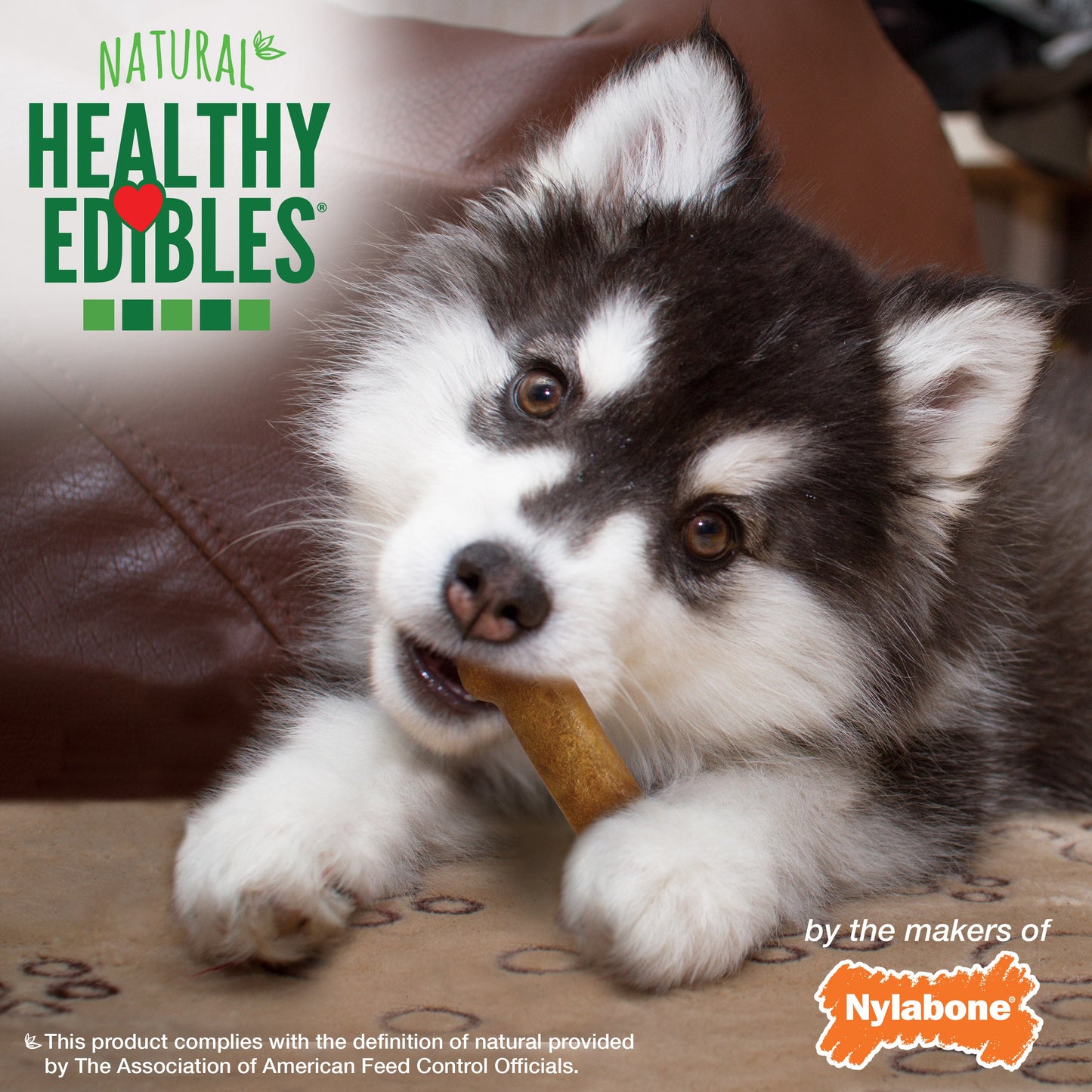 Nylabone Healthy Edibles Puppy AnimalShaped Lamb Apple Dog Chew Treats Lamb Apple, SMall/Regular Up To 25 Ibs. 3 ct
