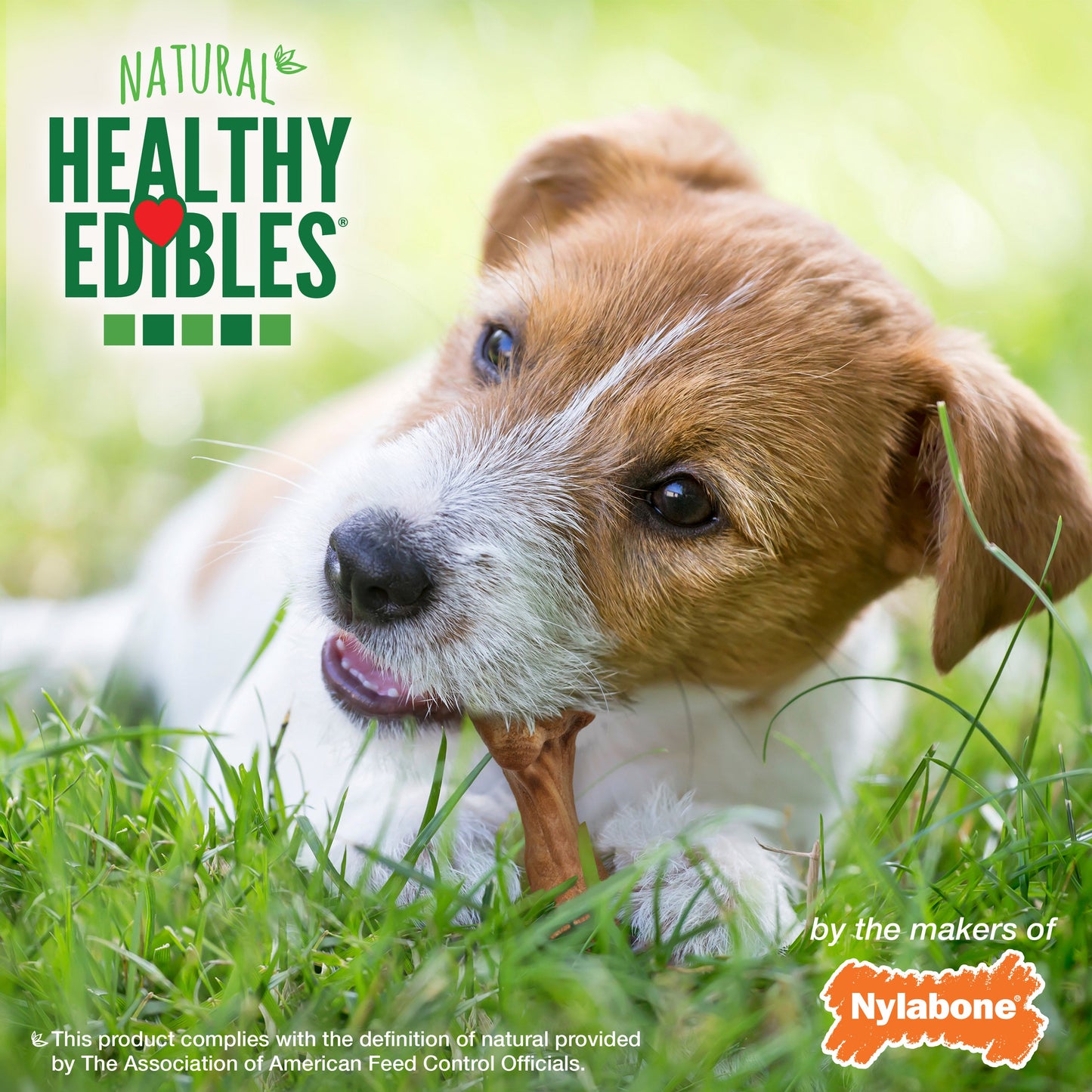Nylabone Healthy Edibles WILD Natural Long Lasting Bison Dog Chew Treats Bison, SMall/Regular Up To 25 Ibs. 8 ct