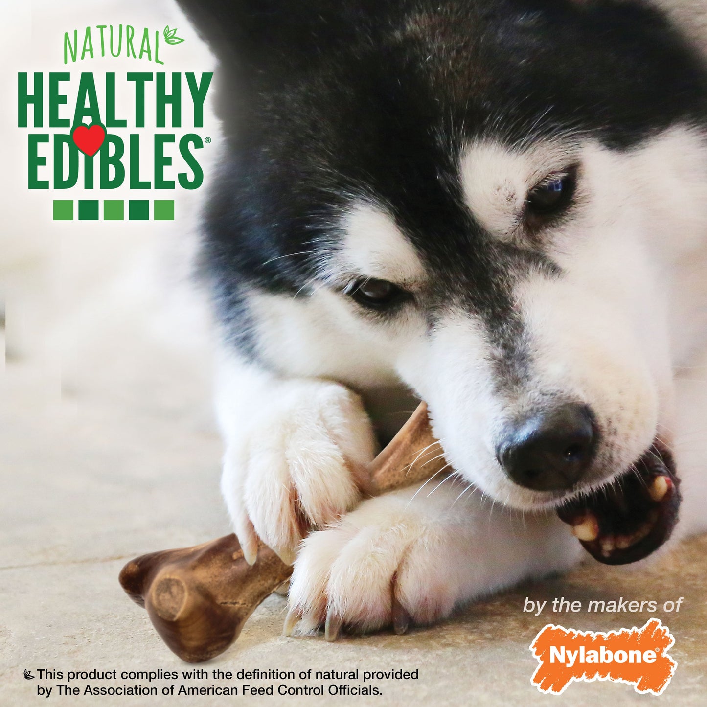 Nylabone Healthy Edibles WILD Natural Long Lasting Bison Dog Chew Treats Bison, Large/Giant Up To 50 Lbs. 1 ct