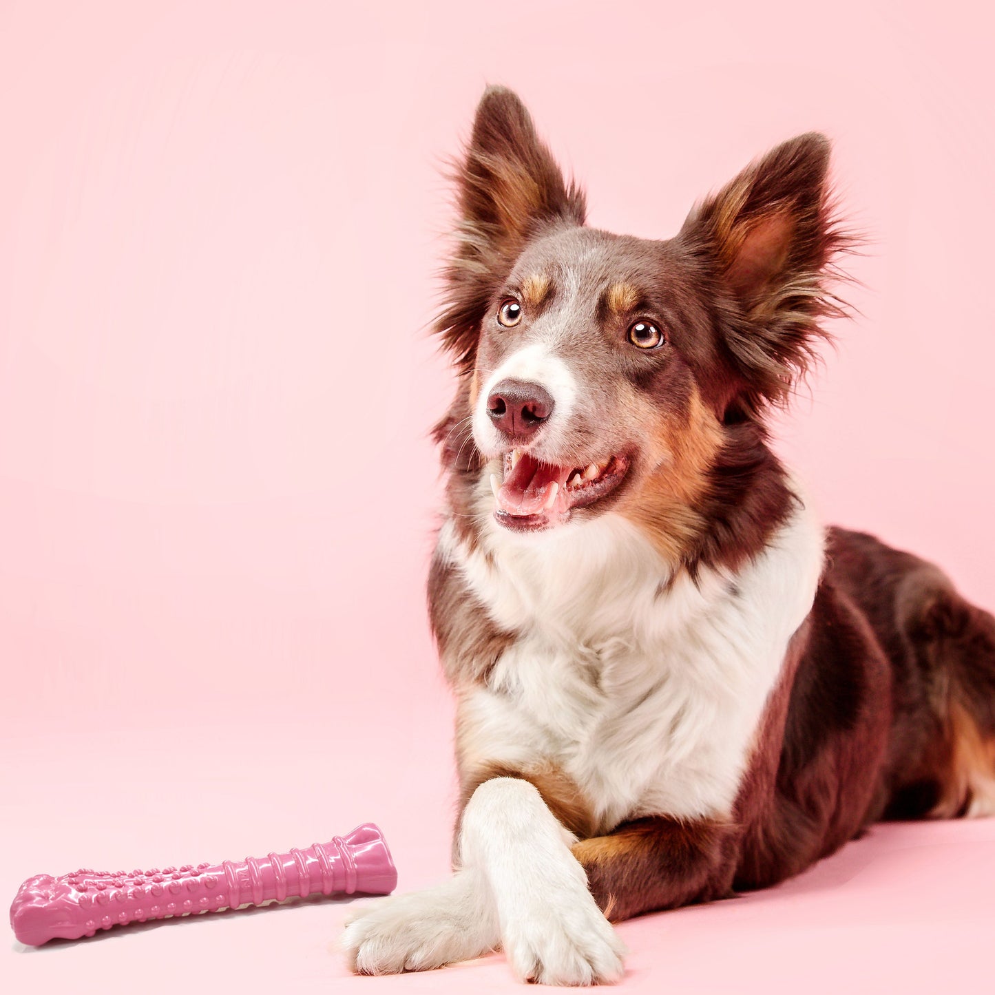Nylabone Breast Cancer Awareness Pink Power Chew Textured Dog Toy Chicken 1ea/XL/Souper - 50+ lb