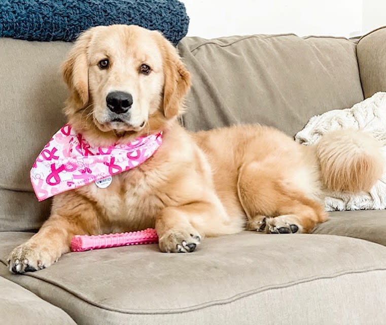 Nylabone Breast Cancer Awareness Pink Power Chew Textured Dog Toy Chicken 1ea/XL/Souper - 50+ lb