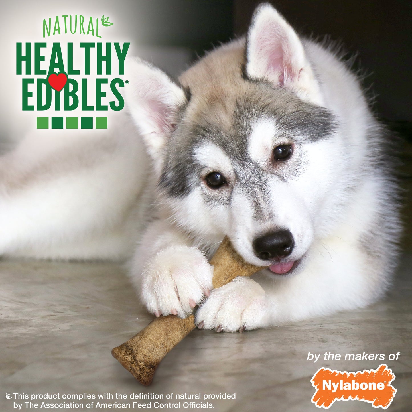 Nylabone Healthy Edibles Puppy AnimalShaped Lamb Apple Dog Chew Treats Lamb Apple, XL/Souper 50 Lbs. 1 ct