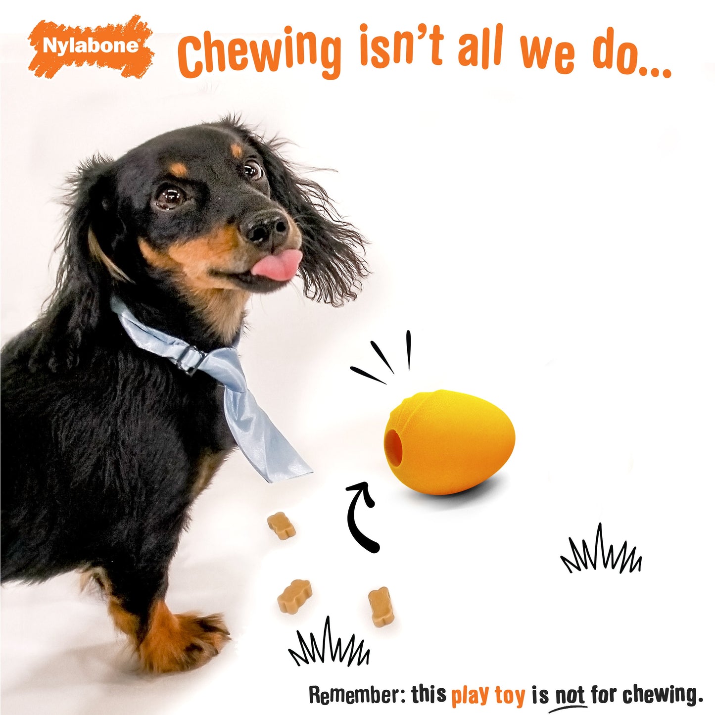 Nylabone Creative Play Eggi Dog Treat Toy Orange, 1ea/Small