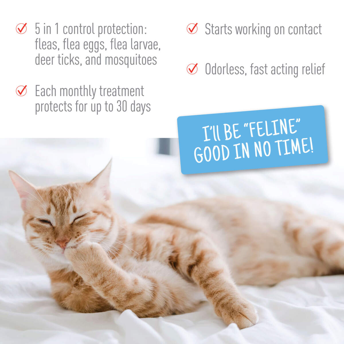 Adams Plus Flea & Tick Spot On for Cats & Kittens 1ea/Over 2.5 Lbs But Under 5 lb