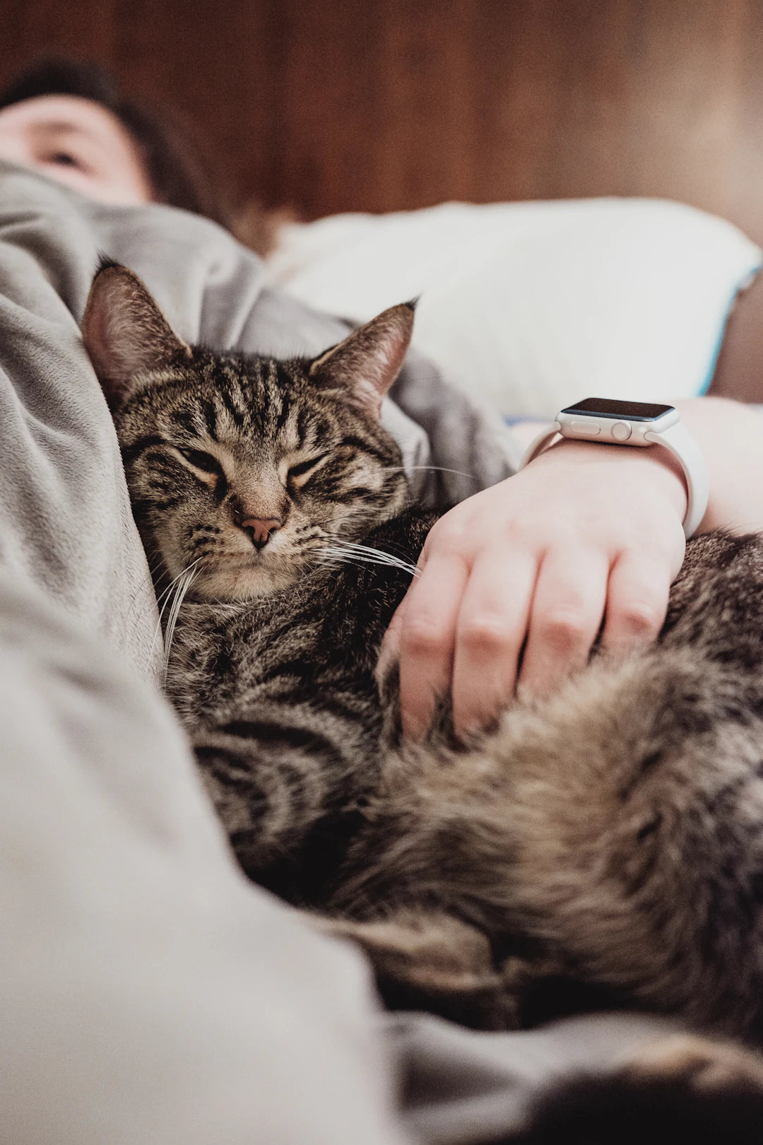 Creating the Perfect Routine for You and Your Pet