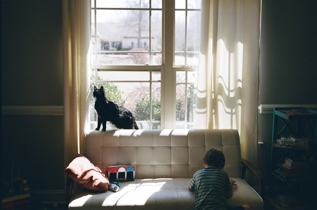 The Vital Role of Pets in Kids’ Growth and Development