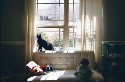 The Vital Role of Pets in Kids’ Growth and Development