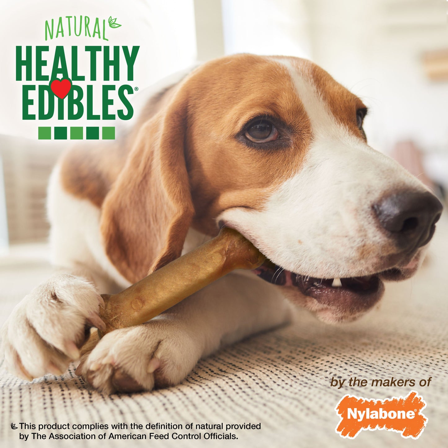 Nylabone Healthy Edibles AllNatural Long Lasting Bacon Chew Treats Bacon, Medium/Wolf  Up To 35 Lbs. 2 ct