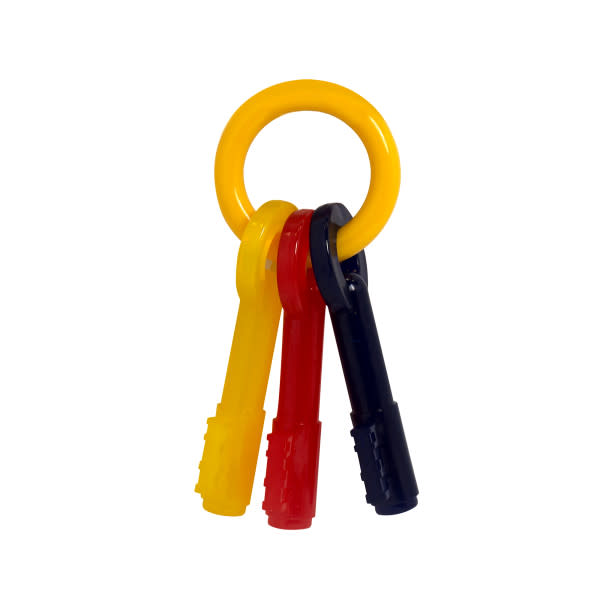 Nylabone Just for Puppies Teething Chew Toy Keys Chew Toy Keys Bacon 1ea/XS/Petite - Up To 15 lb