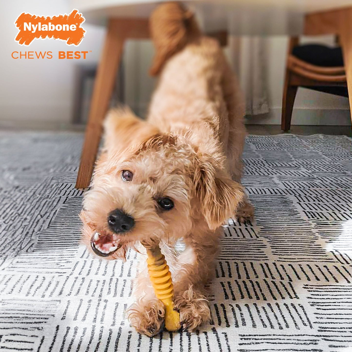 Nylabone Flavor Frenzy Power Chew Durable Dog Chew Toy Philly Cheesesteak 1ea/SMall/Regular - Up To 25 Ibs.