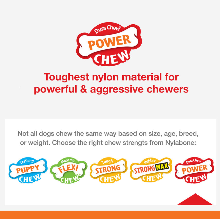 Nylabone Flavor Frenzy Power Chew Durable Dog Chew Toy Philly Cheesesteak 1ea/SMall/Regular - Up To 25 Ibs.