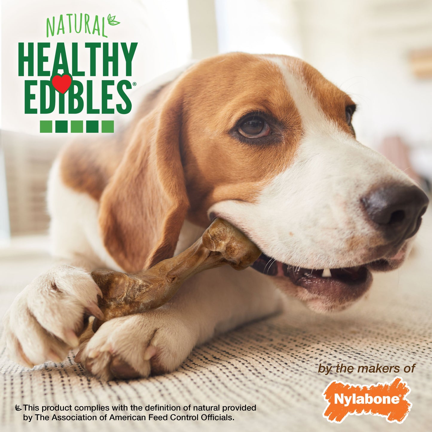 Nylabone Healthy Edibles WILD Natural Long Lasting Bison Dog Chew Treats Bison, Medium/Wolf  Up To 35 Lbs. 2 ct