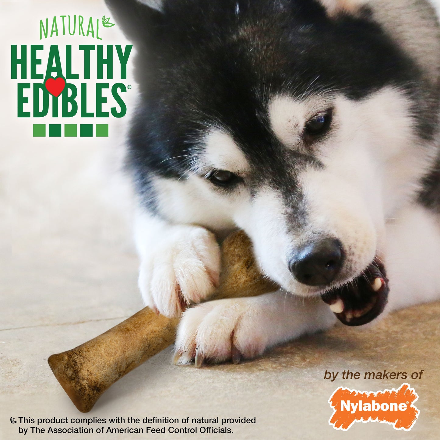 Nylabone Healthy Edibles All-Natural Long Lasting Bacon Chew Treats Bacon 1ea/XL/Souper - 50+ lb