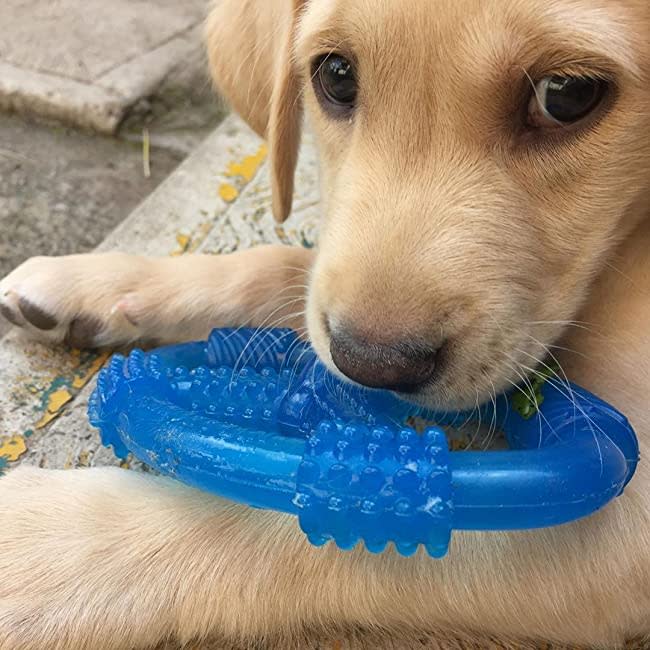 Nylabone Puppy Chew Spin Tug & Play Toy Peanut Butter Blue 1ea/Medium/Wolf - Up To 35 lb