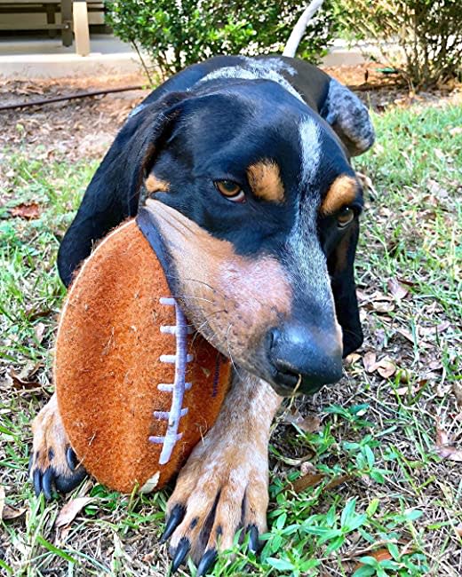 Nylabone Power Play Dog Football Gripz 1ea/Large/Giant - Up To 50 lb