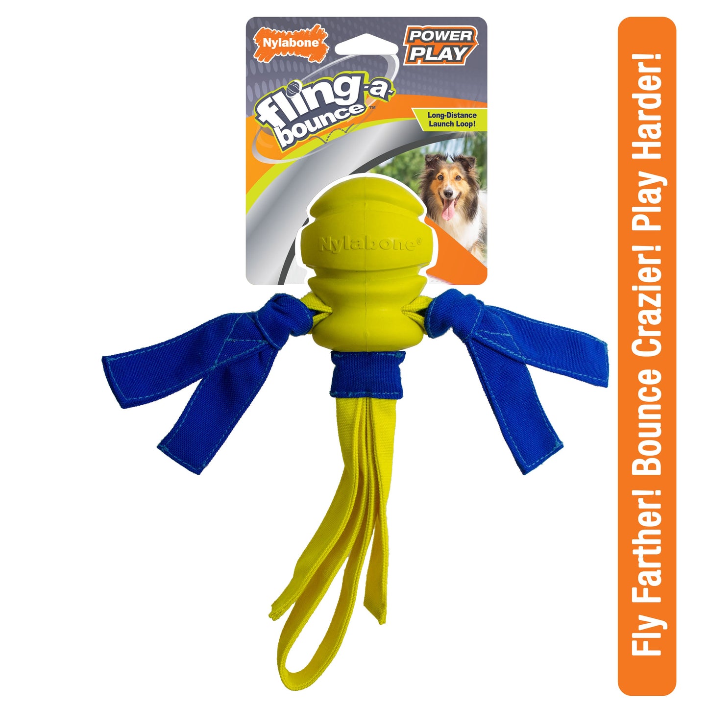 Nylabone Power Play Fling-a-Bounce Interactive Dog Toy 1ea/Large/Giant - Up To 50 lb