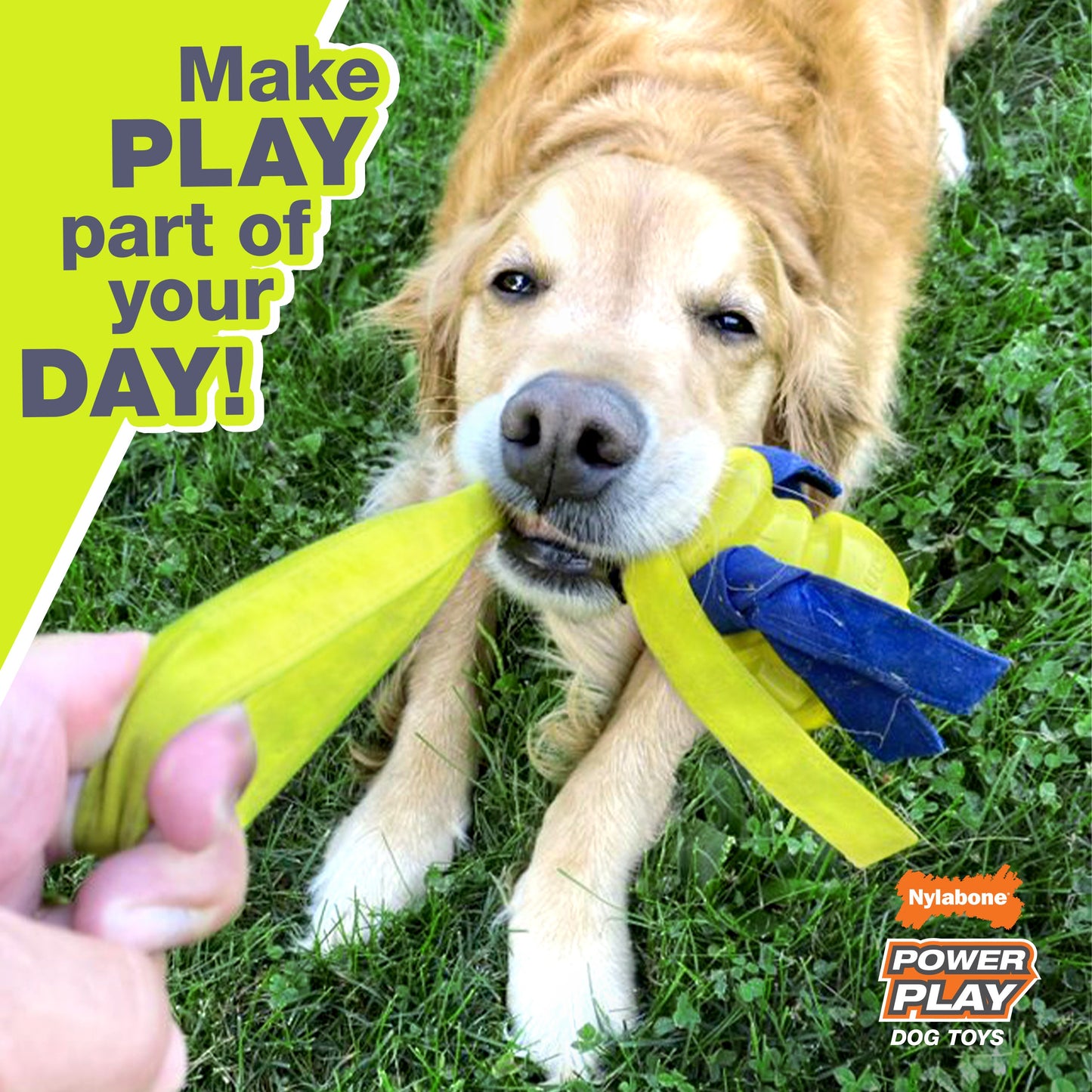 Nylabone Power Play Interactive Dog Toy Shake-a-Toss 1ea/SMall/Regular - Up To 25 Ibs.