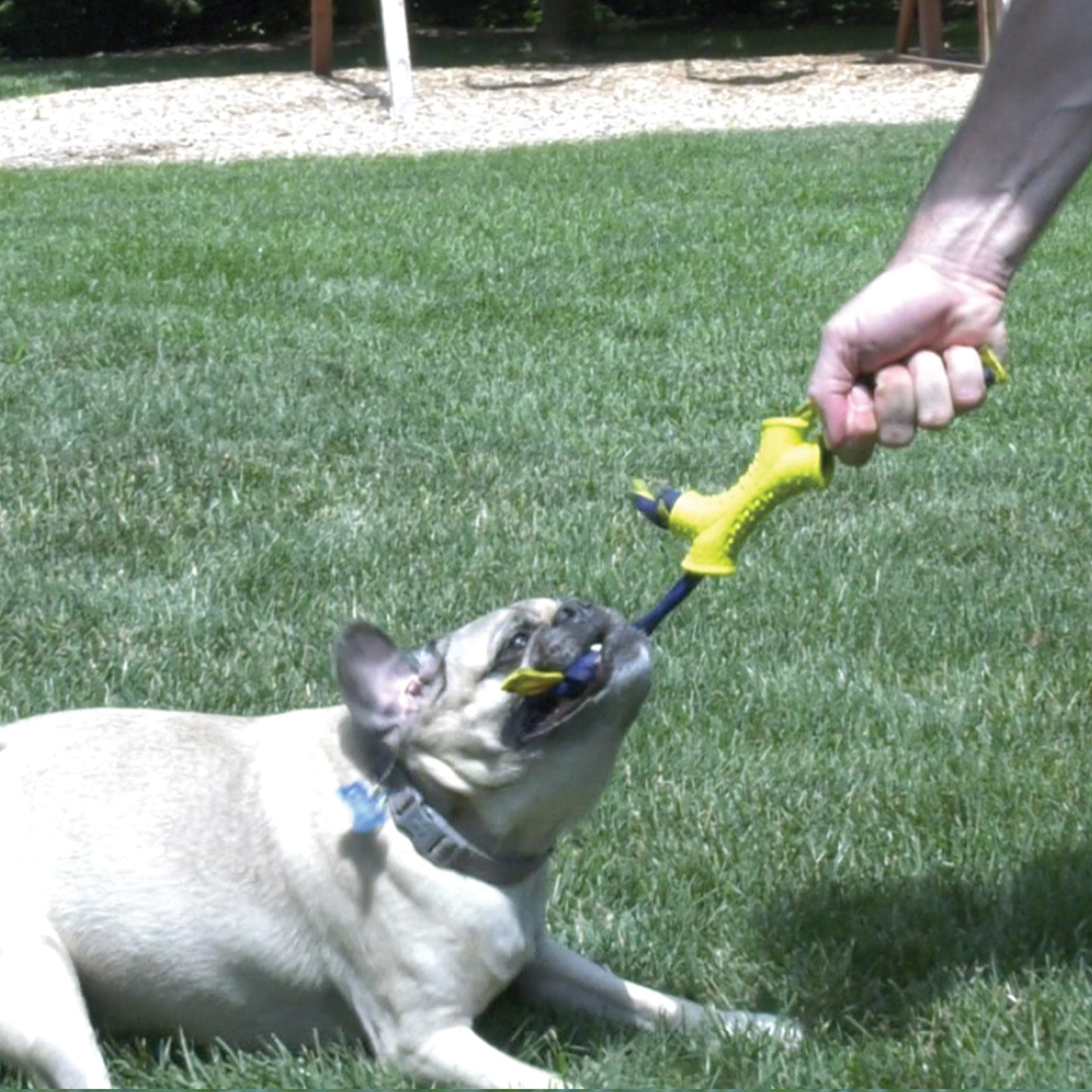 Nylabone Power Play Interactive Dog Toy Shake-a-Toss 1ea/SMall/Regular - Up To 25 Ibs.