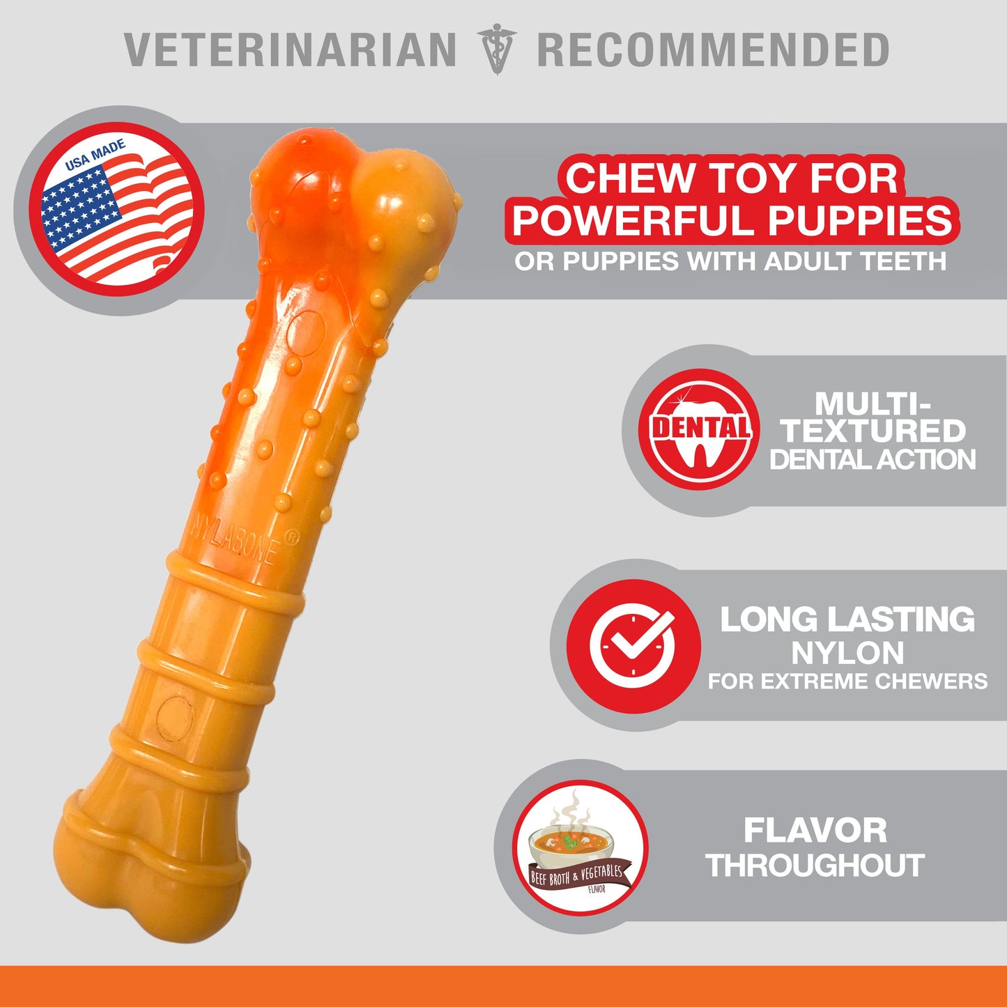 Nylabone Textured Nylon Puppy Chew Toy Beef & Vegetable 1ea/Large/Giant - Up To 50 lb