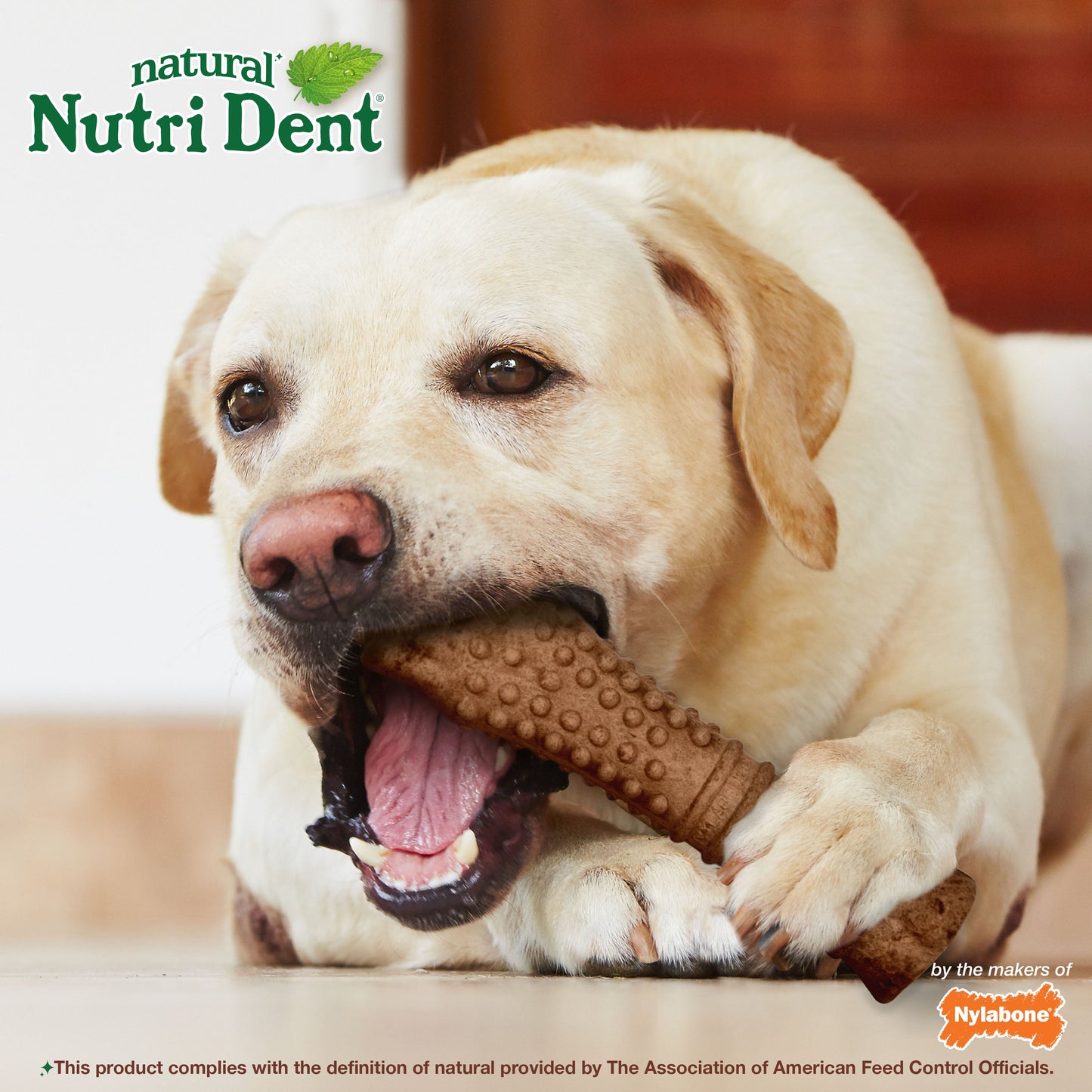 Nylabone Nutri Dent Filet Mignon Dog Dental Chews Filet Mignon 1ea/XL/Souper - 50+ lb