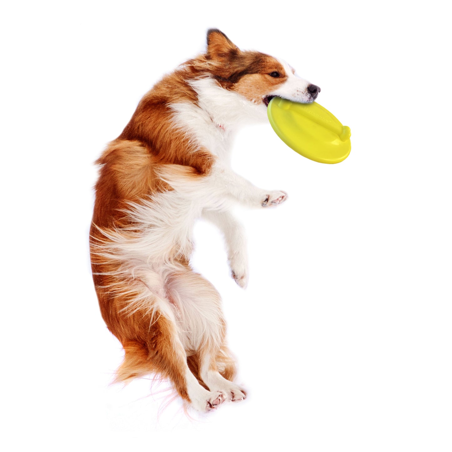 Nylabone Power Play Ultra Glider Gripz Dog Flying Disc 1ea/Large/Giant - Up To 50 lb