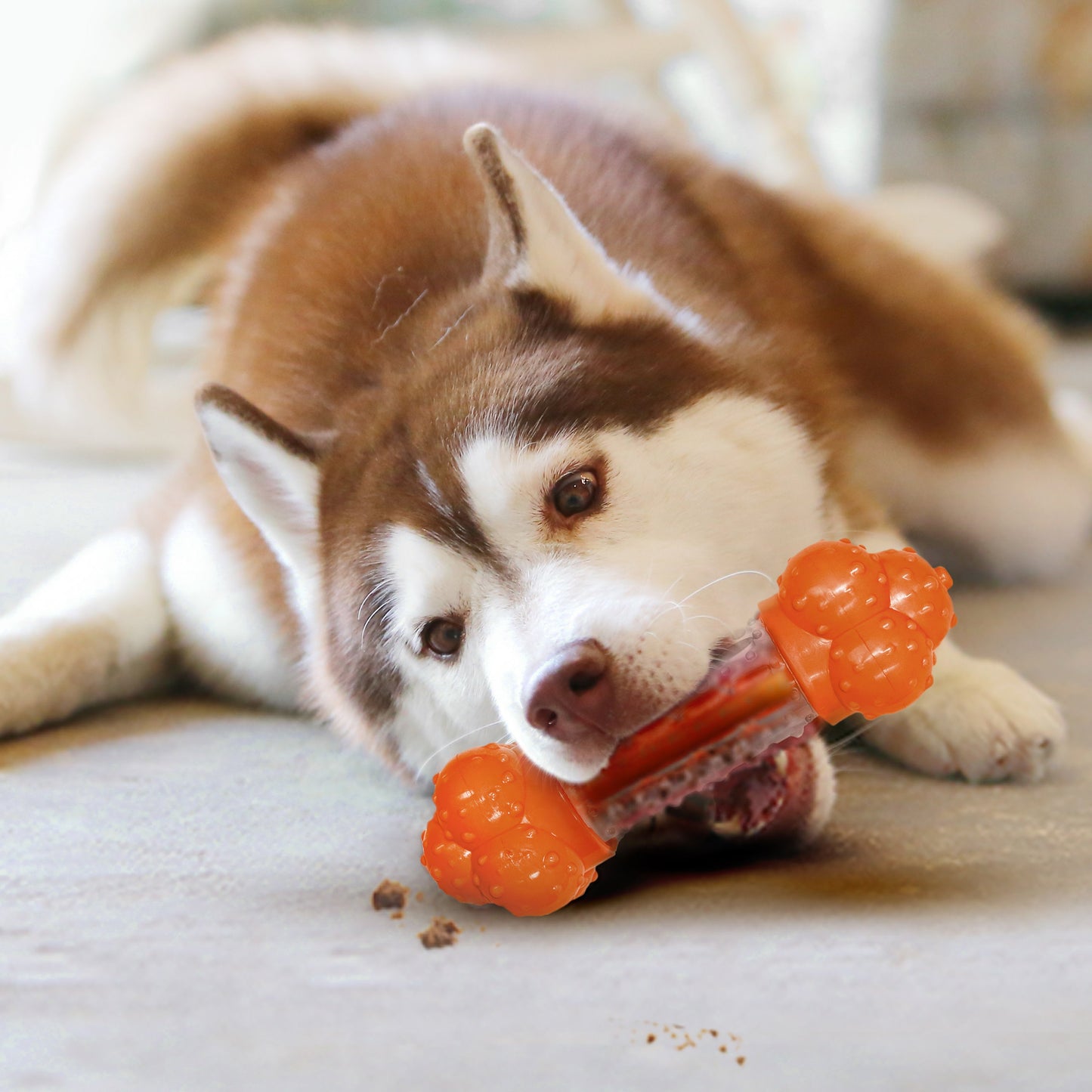 Nylabone Sneaky Snacker Dog Treat Toy Bacon Sneaky Snacker 1ea/Large/Giant - Up To 50 lb