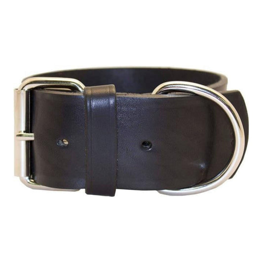 Omni Pet Latigo Leather 1 Ply Dog Collar Black 2 x 23in.