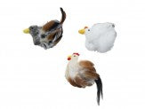 Spot Birds of a Feather Catnip Toy Assorted 6 in