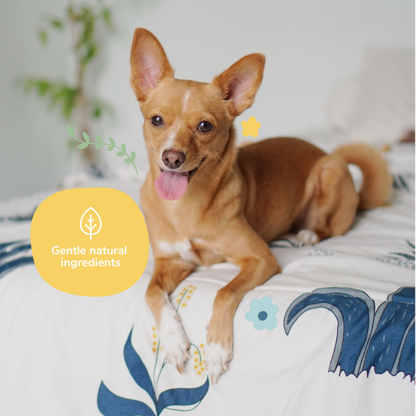 Kin+Kid Dog Smell Natural Coat Spray Almond Vanilla 12oz.